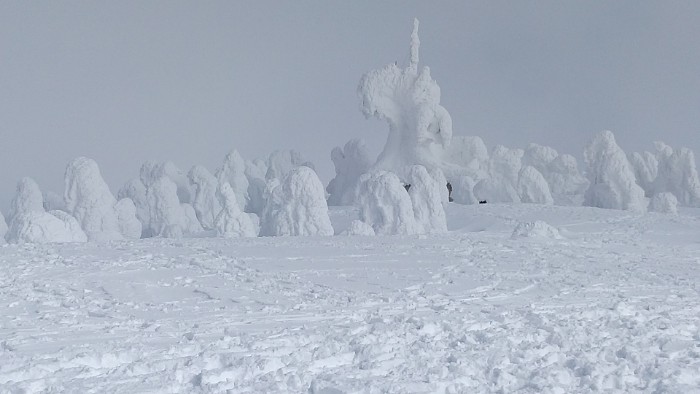 八甲田 樹氷