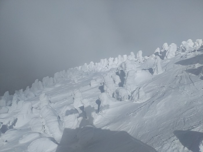 八甲田 樹氷