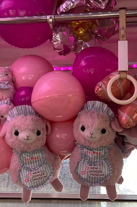 岩下の新生姜！？