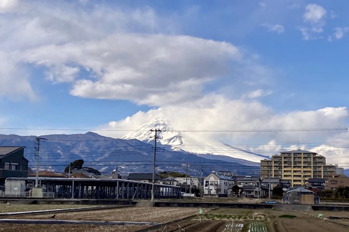 結局富士山見えずじまい