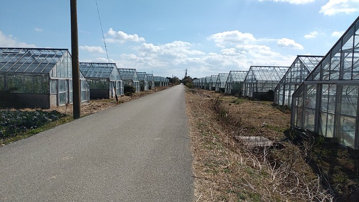 渥美半島 ビニールハウス