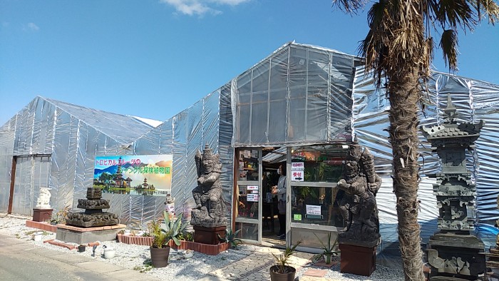 トロピカルフルーツ ジャングル探検植物園