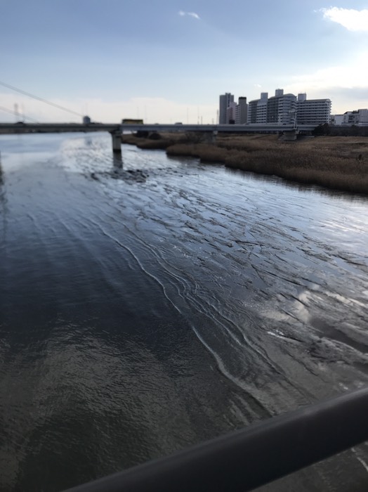 荒川が潮ひいとる