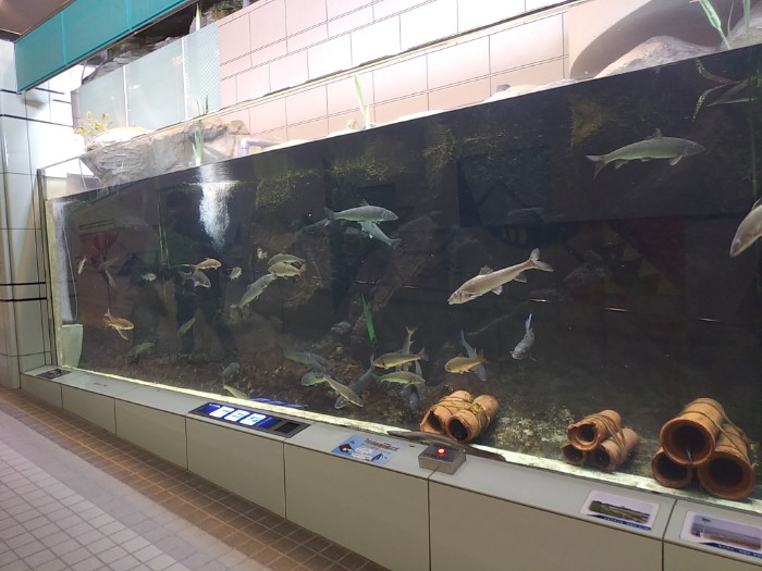 ぎょぎょランド