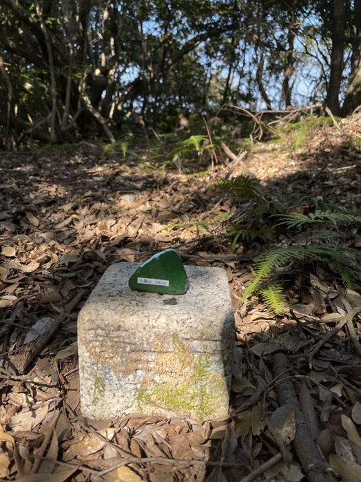 どっちから読んでも山島山
