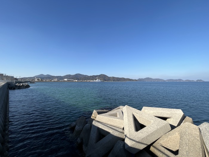 今日は暖ったです