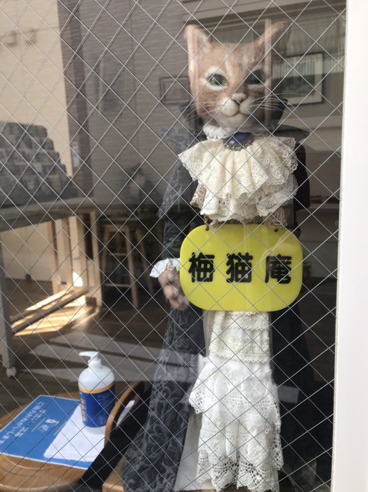 看板娘