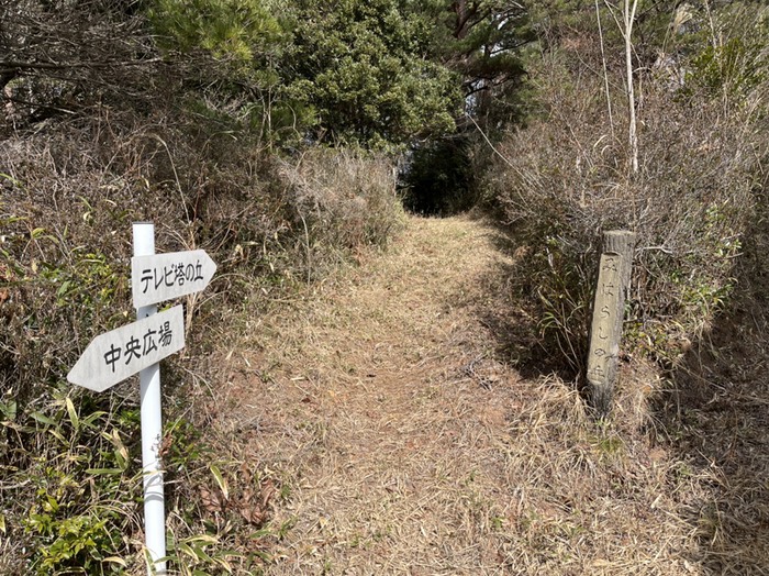 右方　尾根道を見晴らしの丘へ