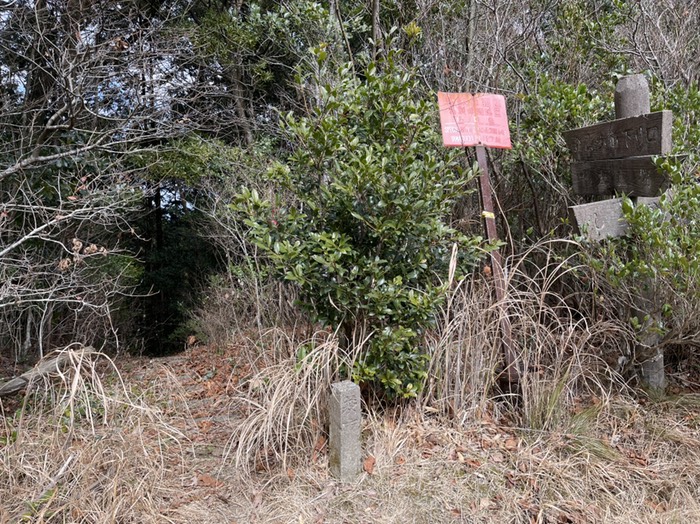 誕生地に下る分かれ道