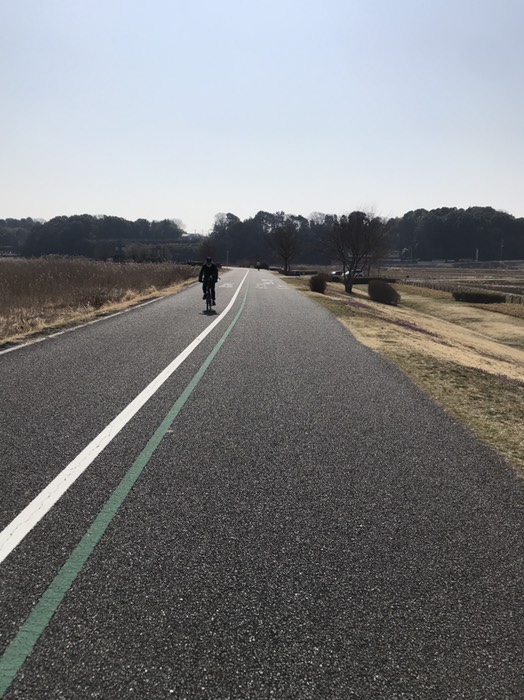 自転車道と遊歩道