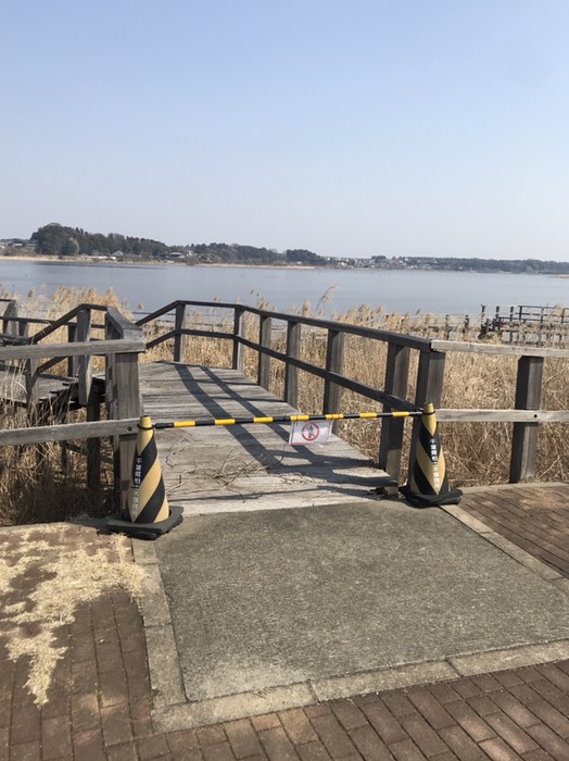 老朽化のせいか立ち入り禁止に