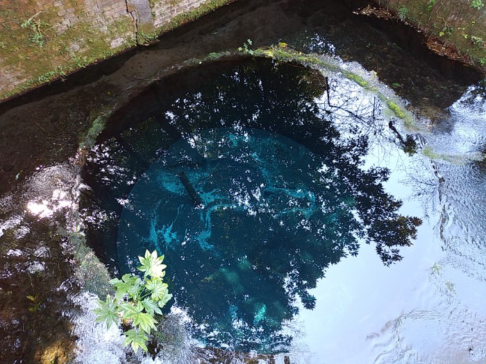 柿田川公園 第２展望台より