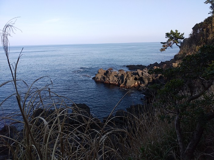 大島公園海岸遊歩道 より