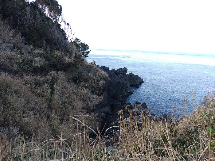 大島公園海岸遊歩道 より