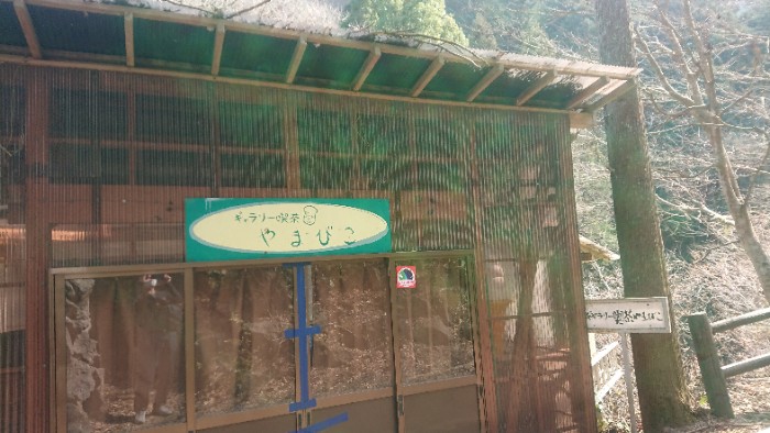 カフェやまびこ