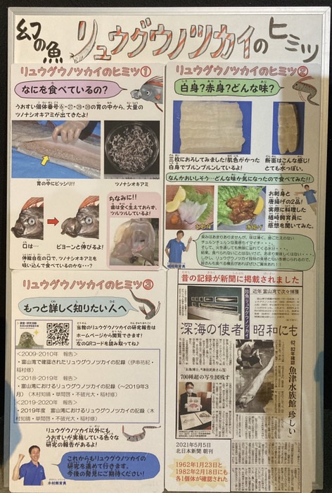 リュウグウノツカイのひみつ