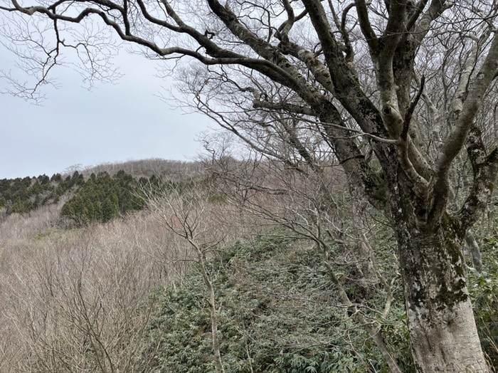 だんだん近づいて来た