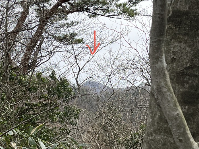 弟の山が見えた