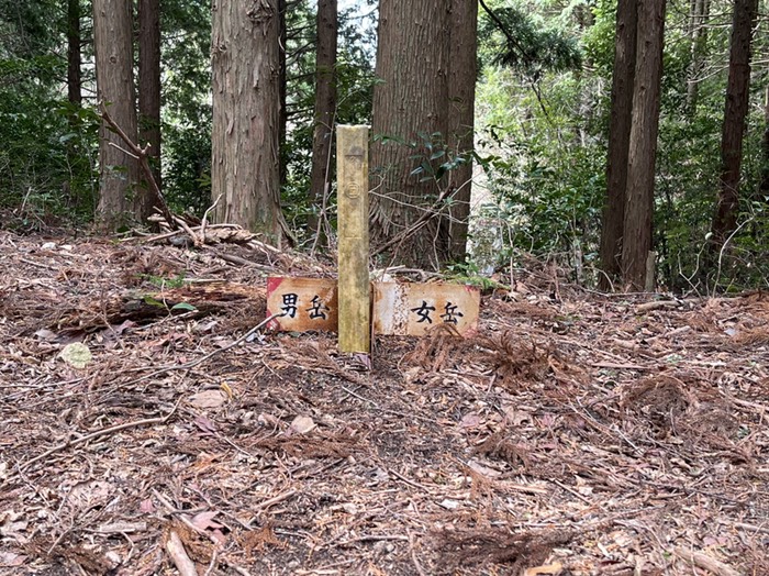 沢を詰めて尾根の鞍部へ