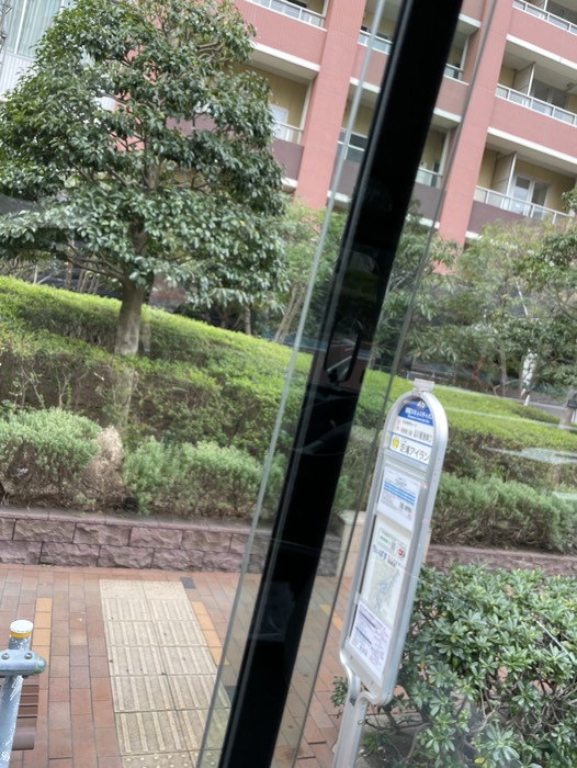 プラタナス公園