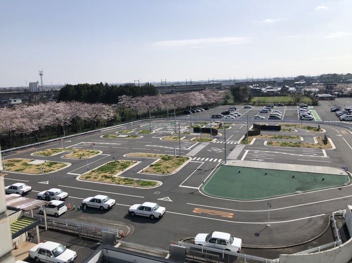 トイレからの眺め