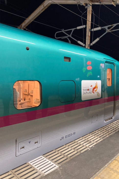 やっと新幹線に乗れる