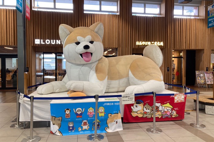 改札出てみました