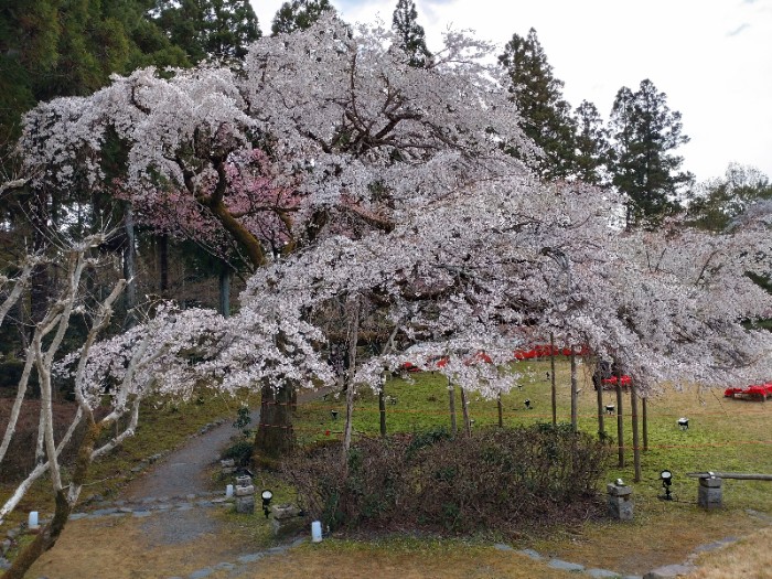 茶屋