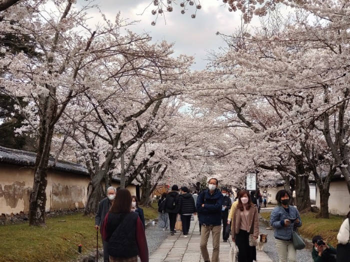 醍醐寺 参道