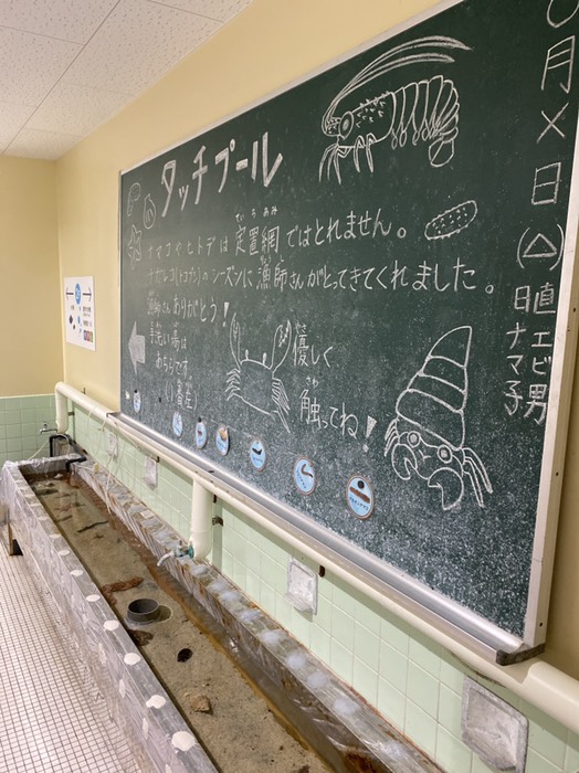 むろと廃校水族館②