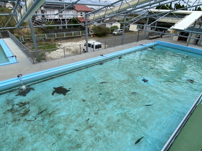 むろと廃校水族館⑦