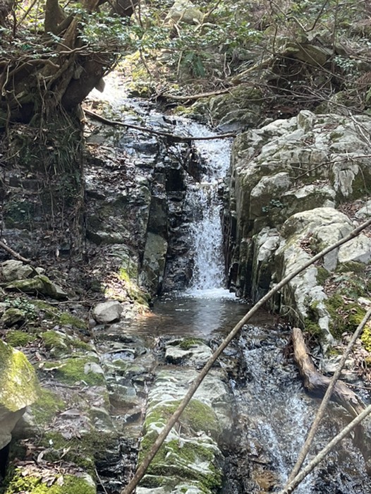 小さい滝がたくさんある