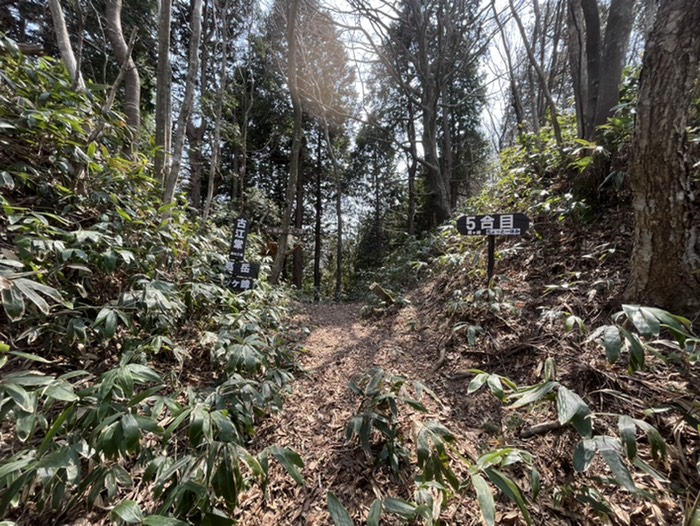 ５合目　桐ヶ峠到着