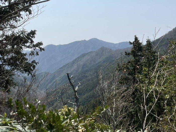 この前登った弟見山