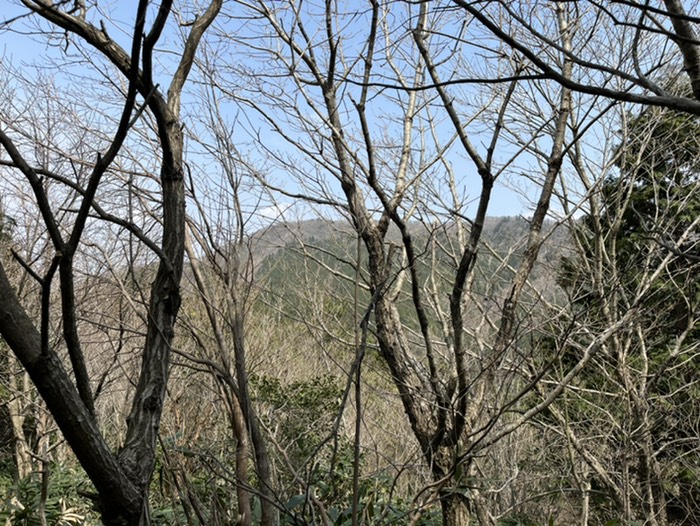 山頂を振り返る