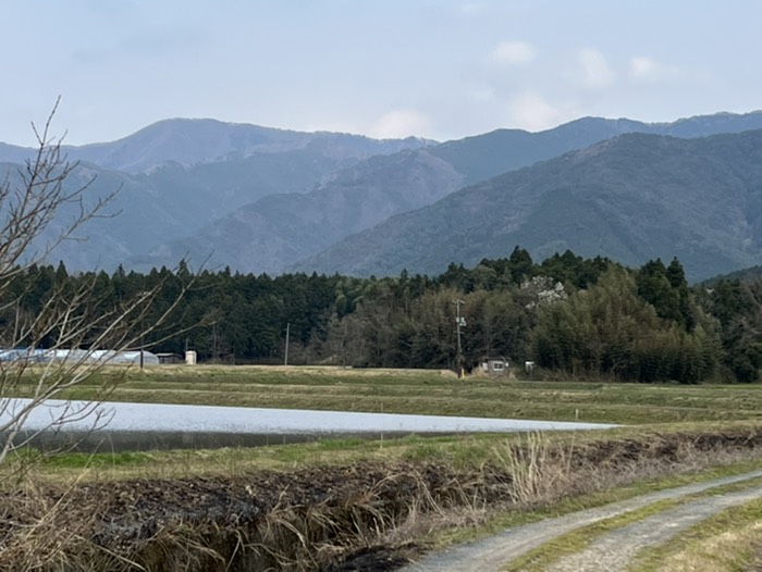 振り返る高岳山