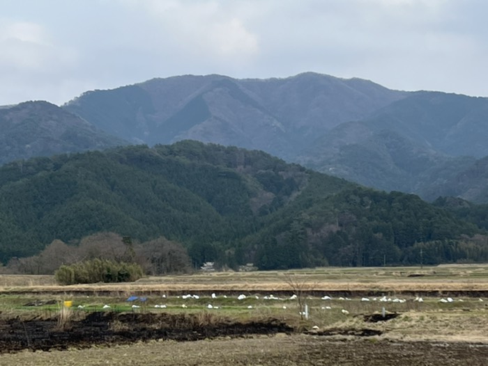 振り返る三ツヶ峰
