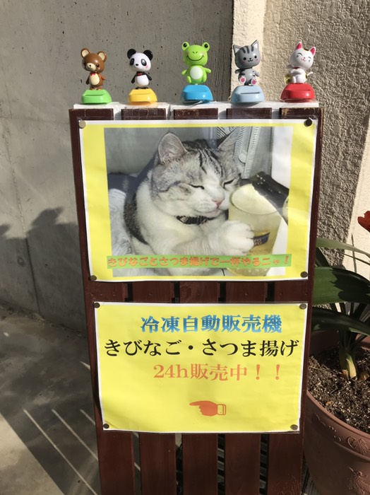 飲んべえ猫