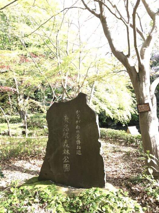 かながわ景勝50選