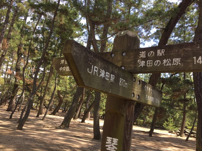 琴林公園 津田の松原