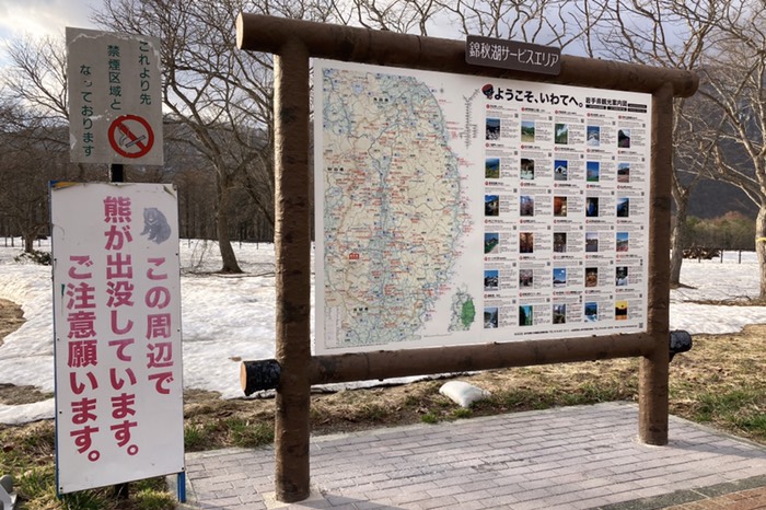 サービスエリアに熊！？