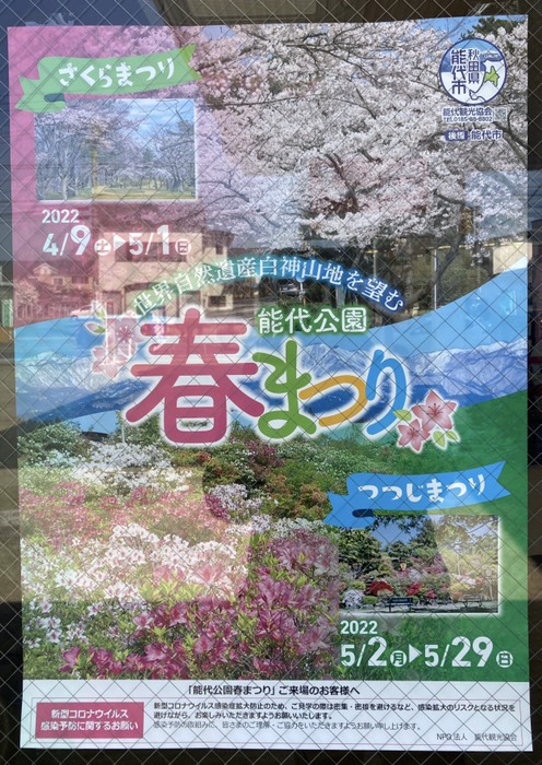 さすがにこちらのほうは桜これから！