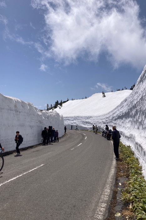 初めて歩いてみた