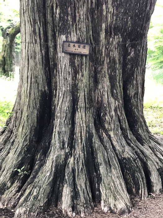 名木百選