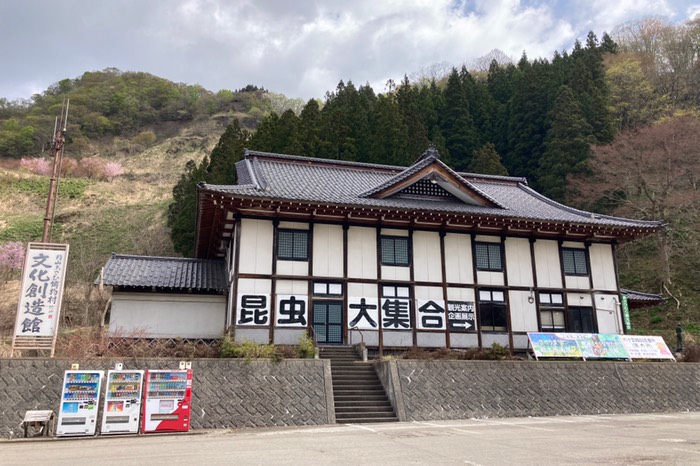 やってるの？？