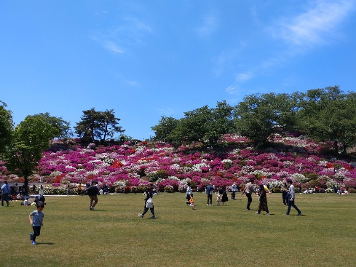 西山公園 芝生広場