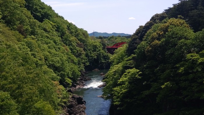 はねたき橋より下流側を撮影