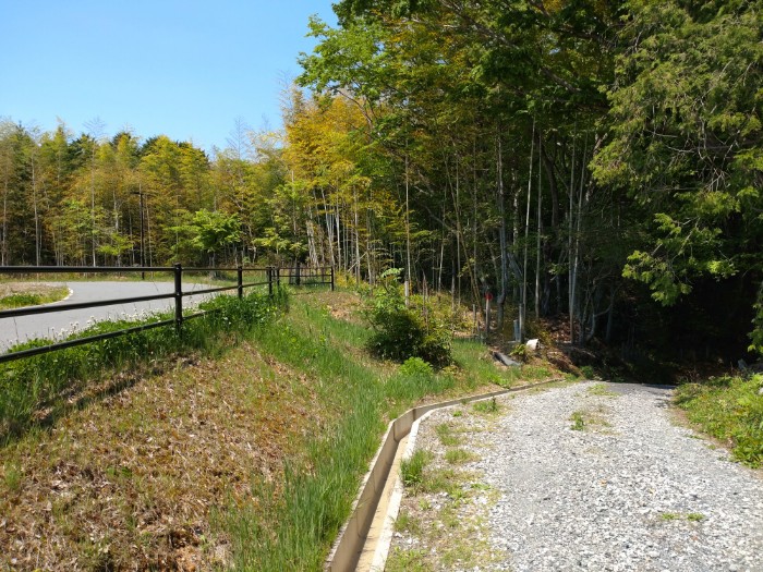 大井ダムへの道