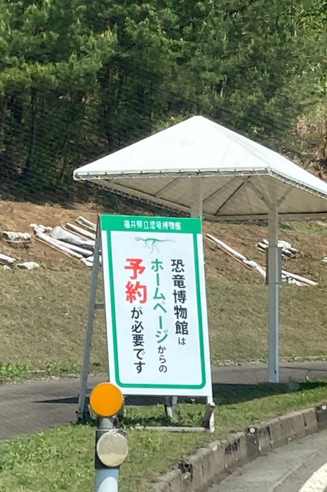 ここへ来て知りました！