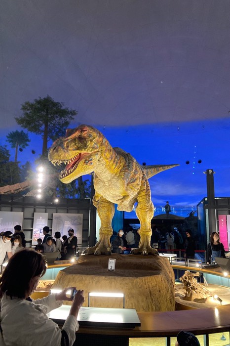 でも入れました！